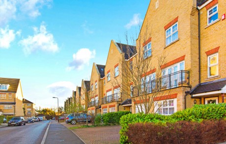 Osier Crescent, Muswell Hill, N10 - Daniel Ford